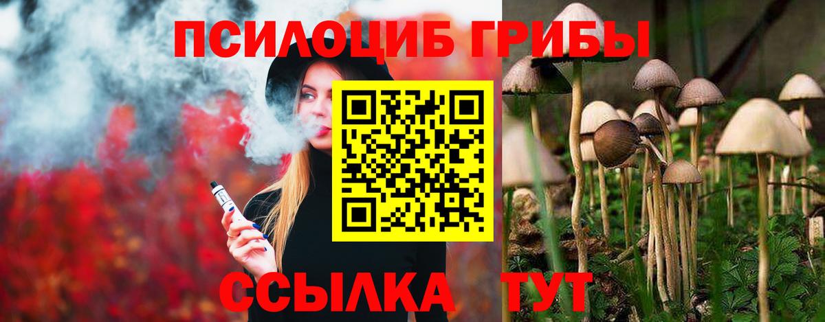Елец  Галлюциногенные грибы GOLDEN TEACHER  Вход с VPN  Псилоцибиновые грибы Psilocybe 
